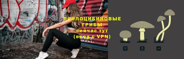 ГАЛЛЮЦИНОГЕННЫЕ ГРИБЫ Алзамай
