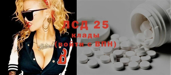 ГАЛЛЮЦИНОГЕННЫЕ ГРИБЫ Алексин