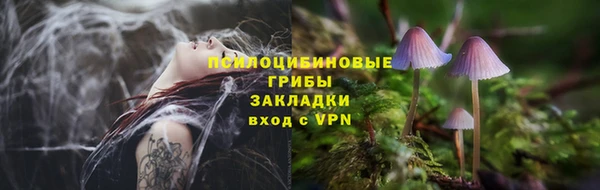 ГАЛЛЮЦИНОГЕННЫЕ ГРИБЫ Алзамай