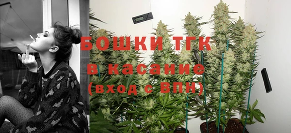 ГАЛЛЮЦИНОГЕННЫЕ ГРИБЫ Алексин