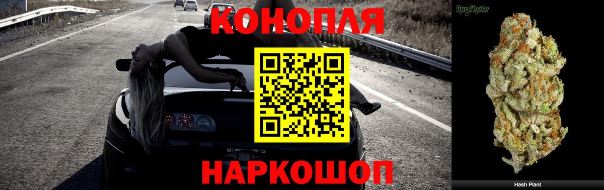 Бошки марихуана сатива  Вход с VPN  Бошки Шишки ГИДРОПОН  Канабис планчик  Ржев 